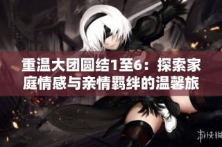 重温大团圆结1至6：探索家庭情感与亲情羁绊的温馨旅程