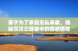 妻子为了家庭无私奉献，揭秘沉沦三部曲中的情感牺牲与坚韧历程