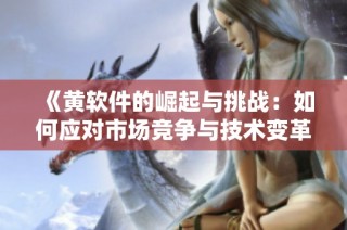 《黄软件的崛起与挑战：如何应对市场竞争与技术变革》