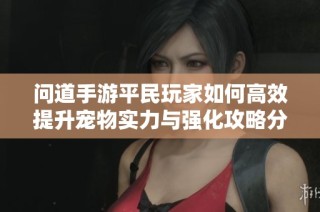 问道手游平民玩家如何高效提升宠物实力与强化攻略分享