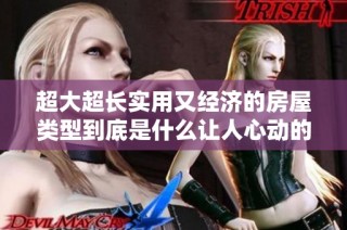 超大超长实用又经济的房屋类型到底是什么让人心动的选择