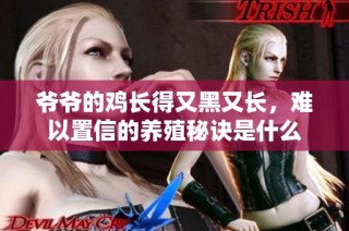 爷爷的鸡长得又黑又长，难以置信的养殖秘诀是什么