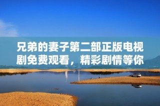 兄弟的妻子第二部正版电视剧免费观看，精彩剧情等你来享受
