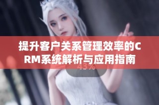 提升客户关系管理效率的CRM系统解析与应用指南