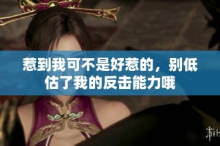 惹到我可不是好惹的，别低估了我的反击能力哦