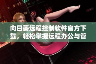 向日葵远程控制软件官方下载，轻松掌握远程办公与管理新技巧