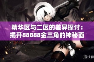 精华区与二区的差异探讨：揭开88888金三角的神秘面纱