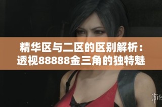 精华区与二区的区别解析：透视88888金三角的独特魅力与特点