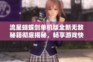 流星蝴蝶剑单机版全新无敌秘籍彻底揭秘，畅享游戏快感