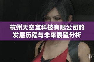 杭州天空盒科技有限公司的发展历程与未来展望分析