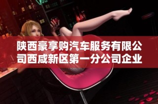 陕西豪享购汽车服务有限公司西咸新区第一分公司企业信息详细分析与行业展望