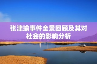 张津瑜事件全景回顾及其对社会的影响分析