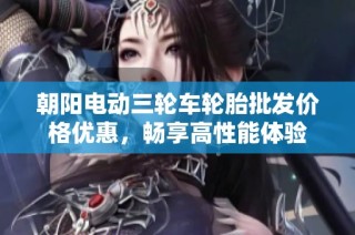 朝阳电动三轮车轮胎批发价格优惠，畅享高性能体验