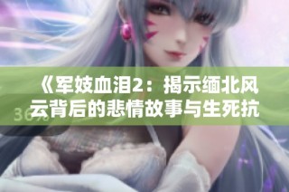 《军妓血泪2：揭示缅北风云背后的悲情故事与生死抗争》