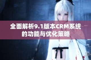 全面解析9.1版本CRM系统的功能与优化策略