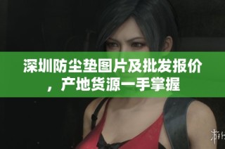 深圳防尘垫图片及批发报价，产地货源一手掌握