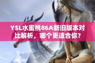 YSL水蜜桃86A新旧版本对比解析，哪个更适合你？