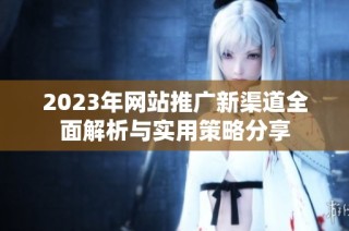 2023年网站推广新渠道全面解析与实用策略分享
