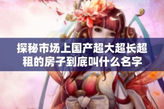 探秘市场上国产超大超长超租的房子到底叫什么名字