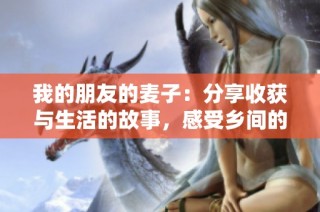 我的朋友的麦子：分享收获与生活的故事，感受乡间的温暖与希望