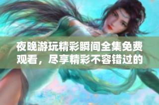 夜晚游玩精彩瞬间全集免费观看，尽享精彩不容错过的美好时光