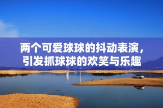 两个可爱球球的抖动表演，引发抓球球的欢笑与乐趣