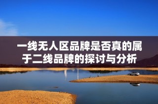 一线无人区品牌是否真的属于二线品牌的探讨与分析