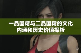 一品国精与二品国精的文化内涵和历史价值探析