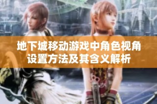 地下城移动游戏中角色视角设置方法及其含义解析