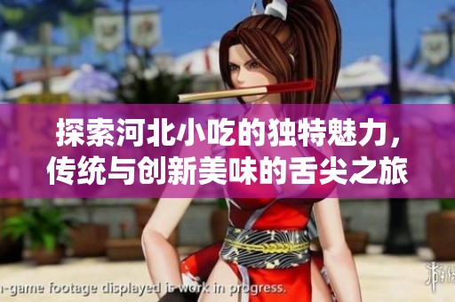 探索河北小吃的独特魅力，传统与创新美味的舌尖之旅