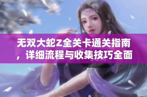 无双大蛇Z全关卡通关指南，详细流程与收集技巧全面解析