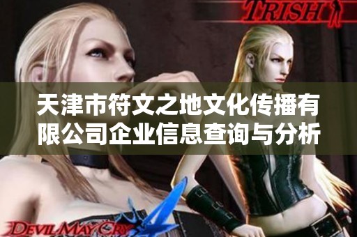 天津市符文之地文化传播有限公司企业信息查询与分析平台介绍