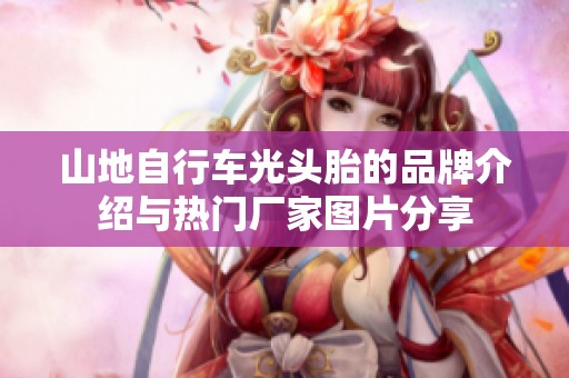 山地自行车光头胎的品牌介绍与热门厂家图片分享