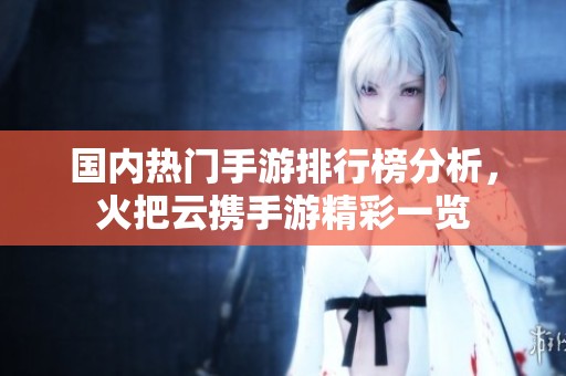 国内热门手游排行榜分析，火把云携手游精彩一览
