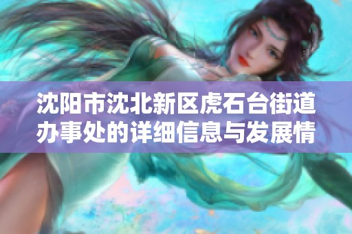 沈阳市沈北新区虎石台街道办事处的详细信息与发展情况分析