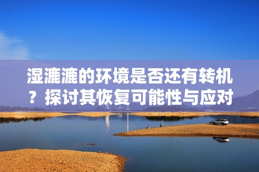 湿漉漉的环境是否还有转机？探讨其恢复可能性与应对策略