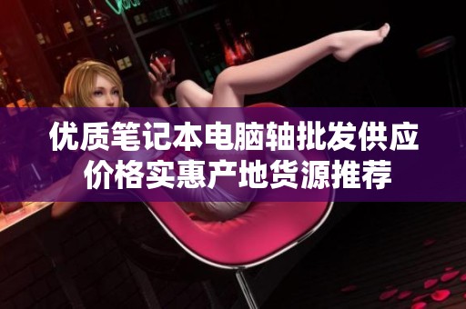 优质笔记本电脑轴批发供应 价格实惠产地货源推荐