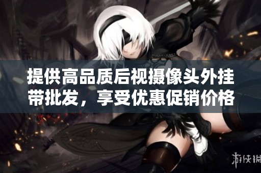提供高品质后视摄像头外挂带批发，享受优惠促销价格和优良产地选择