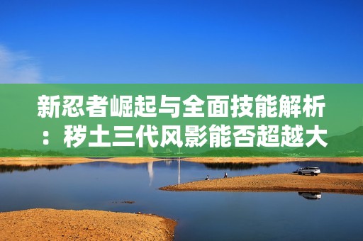 新忍者崛起与全面技能解析：秽土三代风影能否超越大重？