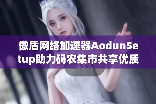 傲盾网络加速器AodunSetup助力码农集市共享优质IT编程学习资源