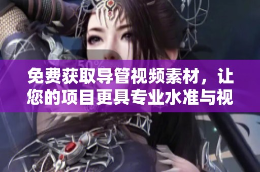 免费获取导管视频素材，让您的项目更具专业水准与视觉吸引力