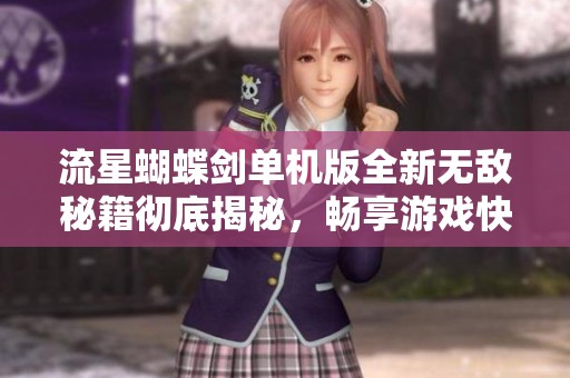 流星蝴蝶剑单机版全新无敌秘籍彻底揭秘，畅享游戏快感