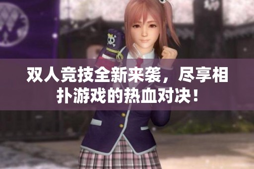 双人竞技全新来袭，尽享相扑游戏的热血对决！