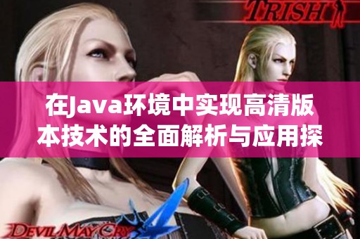 在Java环境中实现高清版本技术的全面解析与应用探讨