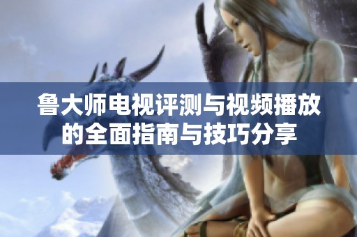 鲁大师电视评测与视频播放的全面指南与技巧分享