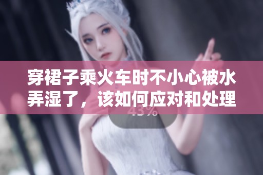 穿裙子乘火车时不小心被水弄湿了，该如何应对和处理呢
