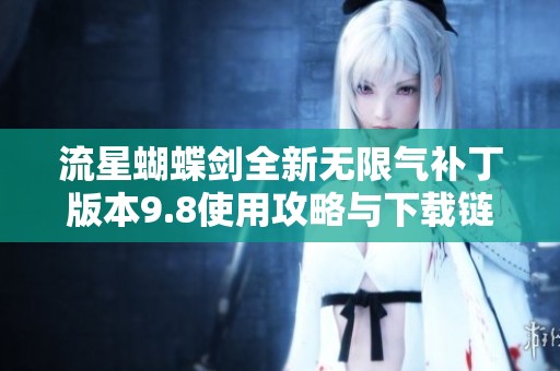 流星蝴蝶剑全新无限气补丁版本9.8使用攻略与下载链接分享