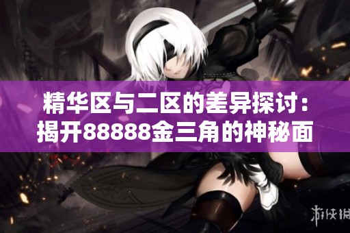 精华区与二区的差异探讨：揭开88888金三角的神秘面纱