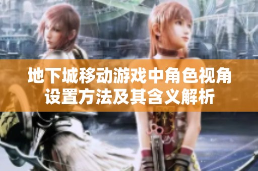 地下城移动游戏中角色视角设置方法及其含义解析