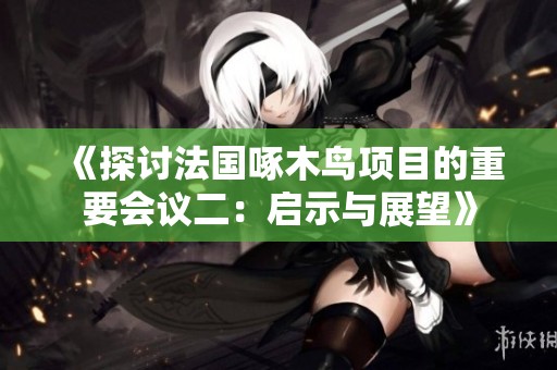 《探讨法国啄木鸟项目的重要会议二：启示与展望》